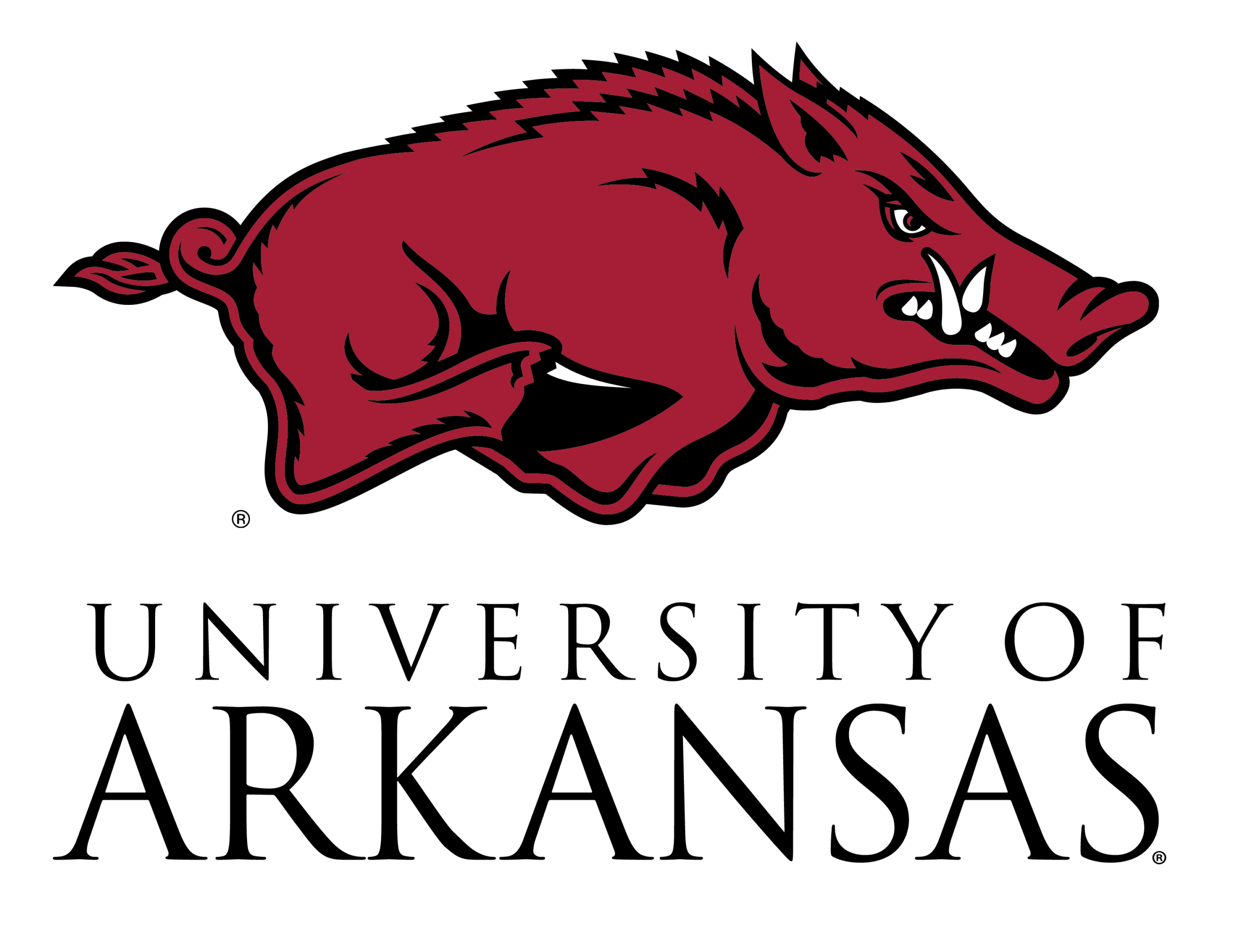 TeamSmile is excited to meet each of you on Friday, September 11! Without the help of generous volunteers, our programs would not be possible.